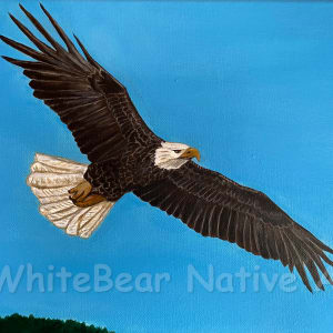 The Joy & Beauty In The Freedom Of Nature by WhiteBear Native Art/Kathy S. "WhiteBear" Copsey 