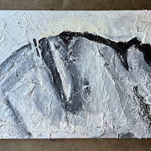 Mountains of the Mind by Fran White