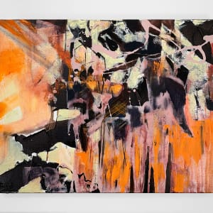 Interrupted Erosion by Janice Tayler 