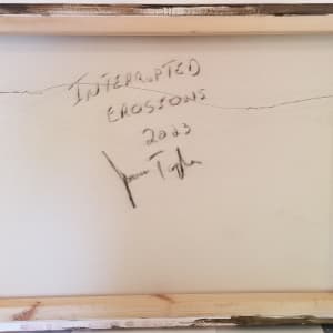 Interrupted Erosion by Janice Tayler 