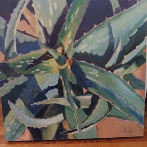 Aloe by John Wolfe 