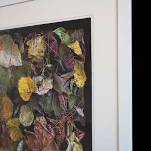 Composition with Fall Leaves #1 by Jon Burris 