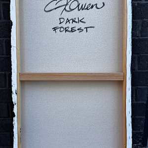 Dark Forest by Christie Owen 