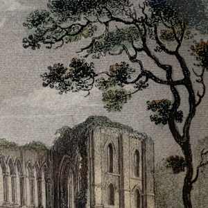 Rivaulx Abbey by Nathaniel Whittock, Image 10.
