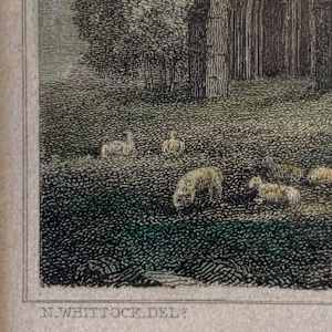 Rivaulx Abbey by Nathaniel Whittock, Image 12.