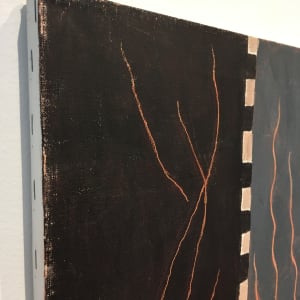Seeing Through a Glass Darkly by Robert Bonaparte 