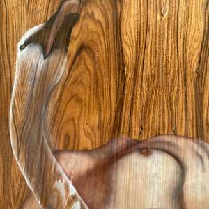 Glider by Sarah Folkman, Image 8.