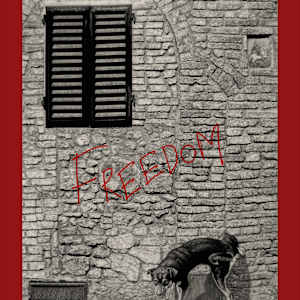 Freedom by Bojan Grof