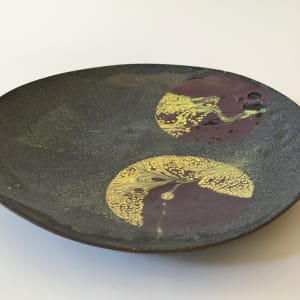 Enamel & Copper Plate by Jann Jeffers 