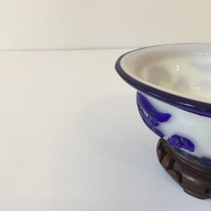 Exquisite Antique Peking Cameo Bowl by Unknown 
