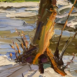 River Birch by James Cobb 