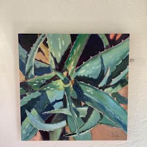 Aloe by John Wolfe