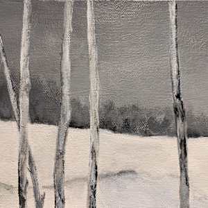 Silver Creek by Cindy Mason 