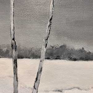 Silver Creek by Cindy Mason 