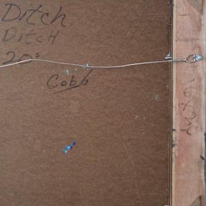 Taos Ditch by James Cobb, Image 10.