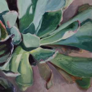 Succulents Diptych by John Wolfe, Image 4.