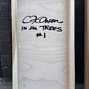 In the Trees Diptych by Christie Owen 