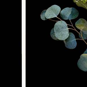 Organic Abstraction #17 by Jon Burris, Image 2.
