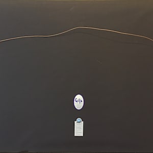 A Far Reaching Vision by Katherine Liontas-Warren 