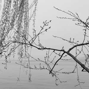 Kunming Lake, Beijing, 1998 by Jon Burris 