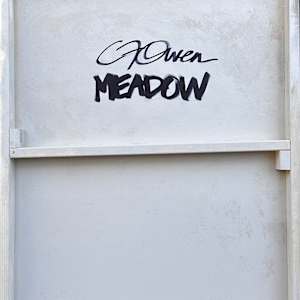 Meadow by Christie Owen 