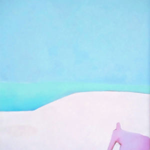 Desolation by Nathan Lee