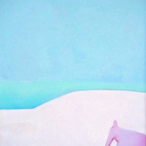 Desolation by Nathan Lee