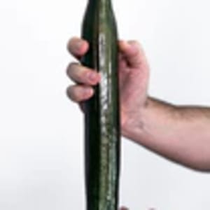 Big Cucumber by XVALA