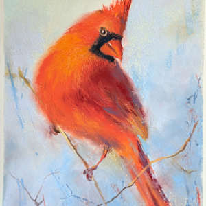 Red Cardinal Bird Painting in Pastel by Monika Gupta
