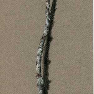 Untitled Stick Drawing by Patricia Vinyard, Image 1.