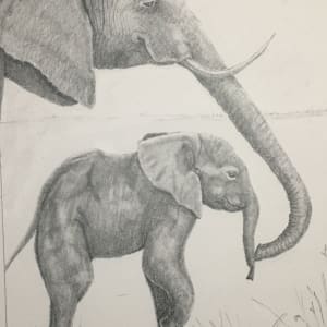 Elephant - NHI Certificate Final, University of Newcastle, Australia by Susannah Fisher 
