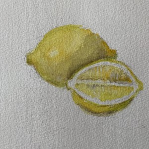 Apple, Pear, Lemon, Radish... 10 small Watercolors by Jennifer Hooley 