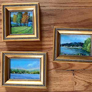 Cazenovia Minis! by Jennifer Hooley 