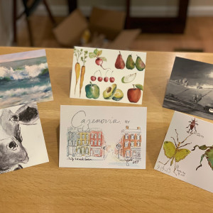 Various Greeting Cards, Individually Wrapped by Jennifer Hooley