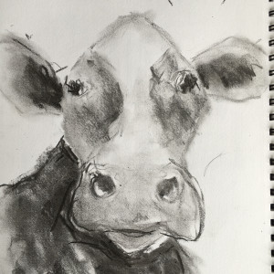 Charcoal Cows (Right) by Jennifer Hooley 