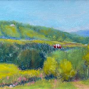 It’s Still Summer! (Rathbun Rd Cazenovia NY) by Jennifer Hooley 