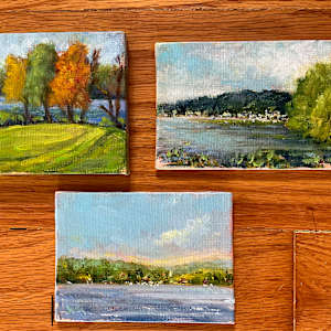Cazenovia Minis! by Jennifer Hooley 
