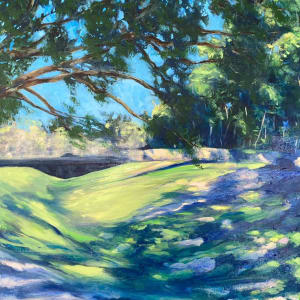 Close to home 2 - the local park by Amanda van Gils