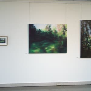 17th May by Amanda van Gils  Image: This image showing the framing was taken at the Hervey Bay Regional Gallery installation of The In-Between places