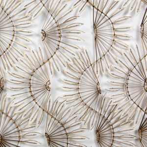 Zephra's Flight by Charissa  Image: detail