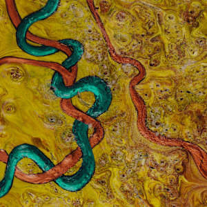Adventure by Sonia Wilkinson  Image: 'Adventure'—detail.