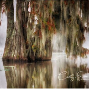 (36) Colors of the Bayou by Cathy Smart
