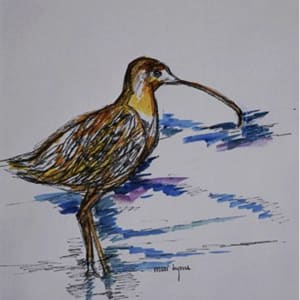 Bird in Creek by Mari Lyons