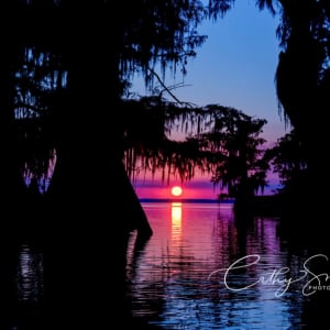 (48) Sunset on Lake Fausse Pointe by Cathy Smart