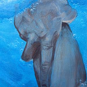 Held by Evelina Lundqvist 