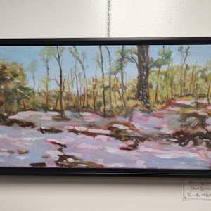Snowfall in Louisiana by David Boucher  Image: Snowfall in Louisiana, framed.