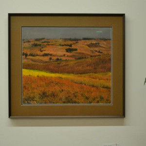 Millet Fields by Abdul Khaliq Ansari 