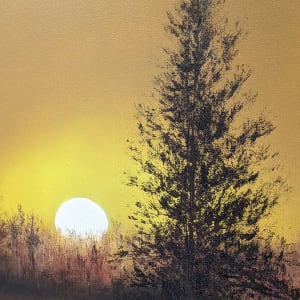 Spruce at Dawn by Abdul Khaliq Ansari 
