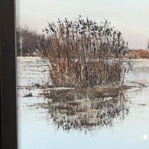 Icy Pond by Abdul Khaliq Ansari 