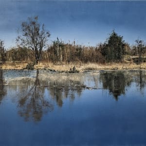Still Pond by Abdul Khaliq Ansari